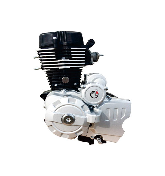 Moteur CG de moto 150cc 3D150